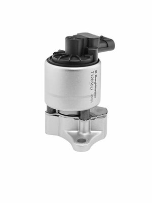 SUPAPA EGR BorgWarner 712059D1 1