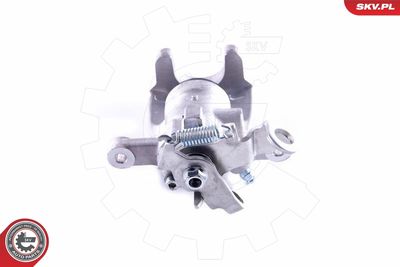 Brake Caliper 55SKV124