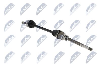 PLANETARA NTY NPWPE017 29