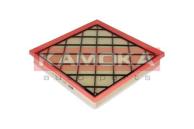 Air Filter F220801