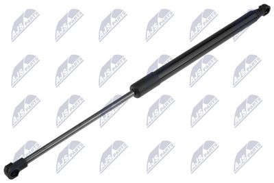 Dujinė spyruoklė, bagažinė