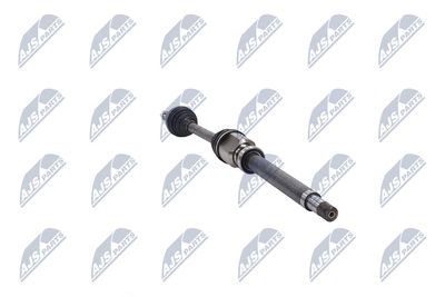 PLANETARA NTY NPWFR074 31