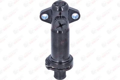 FLANSA LICHID RACIRE BIRTH 81773 1