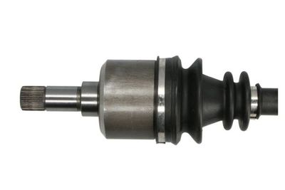 Drivaksel PASCAL G2P038PC