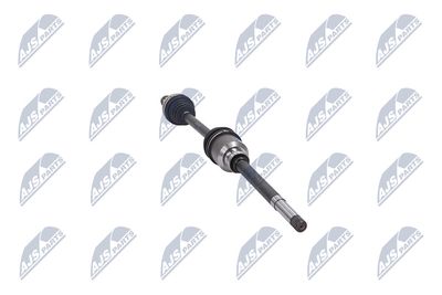 PLANETARA NTY NPWCT009 31