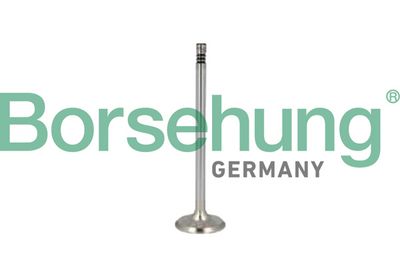 SET SEGMENTI PISTON Borsehung B10346