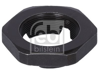 PIULITA CRENELATA FEBI BILSTEIN 29497 1