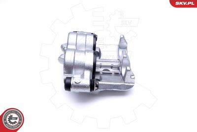 Brake Caliper 46SKV181