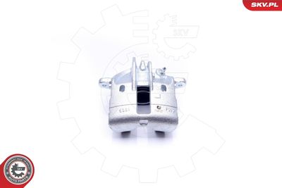 Brake Caliper 42SKV781