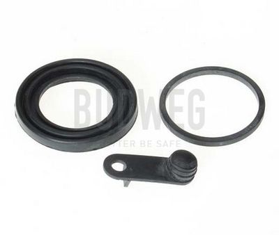 Прокладка, поршень корпуса скобы тор BUDWEG CALIPER 184349 для KIA CARNIVAL