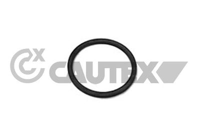 Прокладка, термостат CAUTEX 952043 для FORD ESCORT