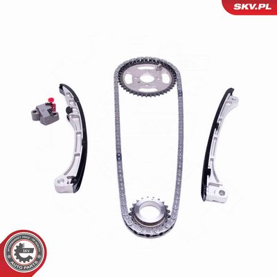 CHIT LANT DE DISTRIBUTIE ESEN SKV 21SKV149 1