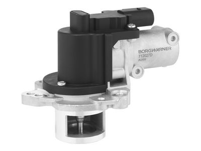 BORGWARNER - AGR - Ventil HYUNDAI, KIA , 712027D