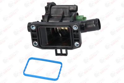 FLANSA LICHID RACIRE BIRTH 8910 8