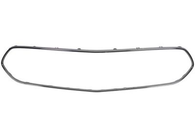 Banda de protectie, grila radiator Blic 6502-07-3522997P