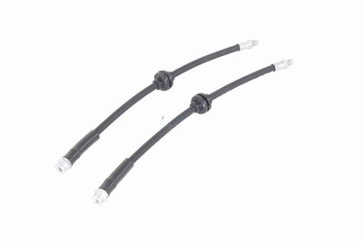 FURTUN FRANA VAICO V240091 6