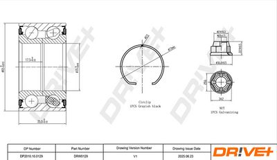 RADLAGERSATZ DR!VE+ DP2010100129 1
