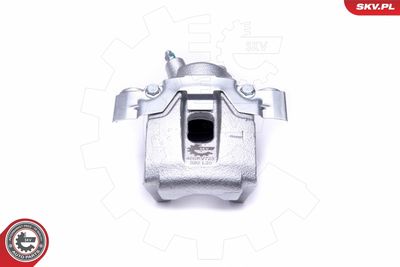 Brake Caliper 46SKV723