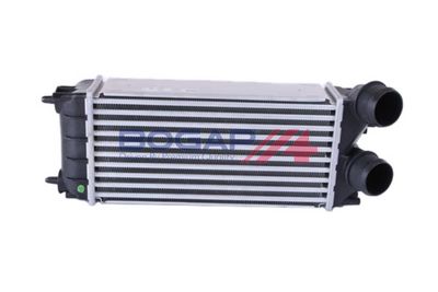 INTERCOOLER COMPRESOR BOGAP P4220108