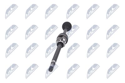 PLANETARA NTY NPWPE053 34