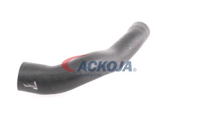 FURTUN EAR SUPRAALIMENTARE ACKOJA A379600 29