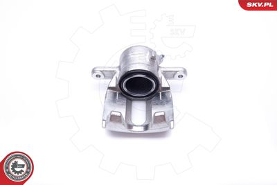 Brake Caliper 42SKV302