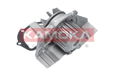 Water Pump, engine cooling T0095