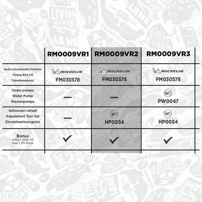 SET CUREA DE DISTRIBUTIE ET ENGINETEAM RM0009VR2 1