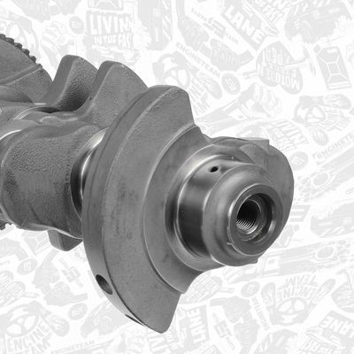 ARBORE COTIT ET ENGINETEAM HK0216 4