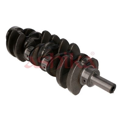 ARBORE COTIT ASHIKA 18KI000 5