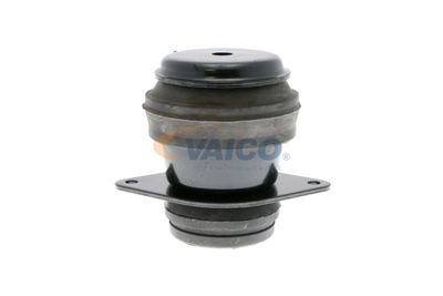 SUPORT TRANSMISIE AUTOMATA VAICO V101178 35