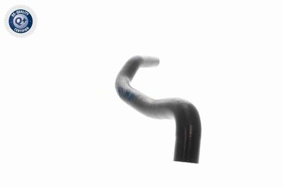 KüHLERSCHLAUCH VAICO V102807 4