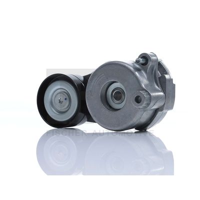 INTINZATOR CUREA CUREA DISTRIBUTIE FA1 NW1405903 4