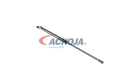 AMORTIZOR PORTBAGAJ ACKOJA A320091 20