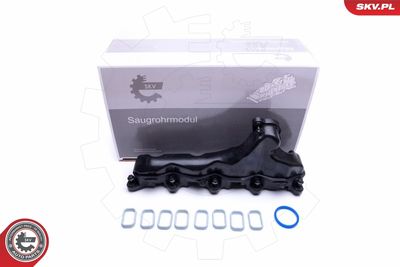 Intake Manifold Module 49SKV032