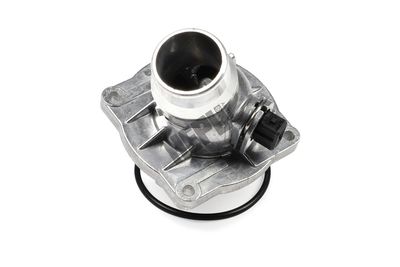 TERMOSTAT LICHID RACIRE