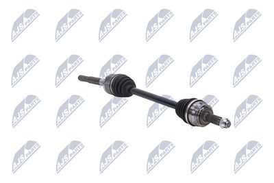 PLANETARA NTY NPWCH044 12