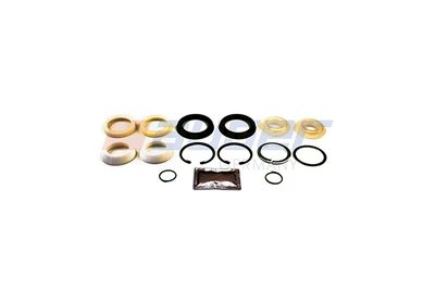 Koppelarm reparatieset Achter Links/Rechts (80) past: DAF 95, 95 XF  IVECO 370, TURBOSTAR, TURBOTECH  MAN E2000, TGS I  MERCEDES LP, MK, NG, SK  RVI C, G, KERAX, MAGNUM, R 09.63-