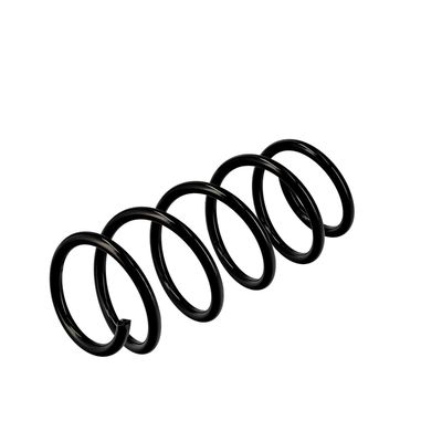 ARC SPIRAL EIBACH R10116 16