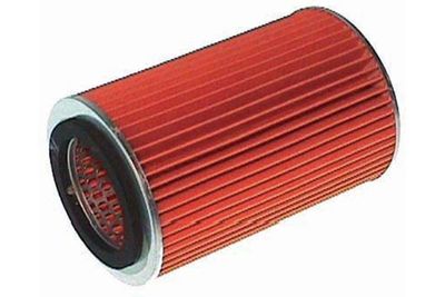 Kavo Parts Oro filtras