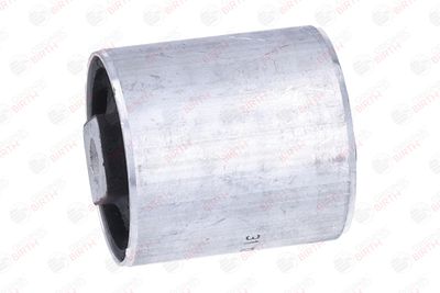 SUPORT TRAPEZ BIRTH 2254 8