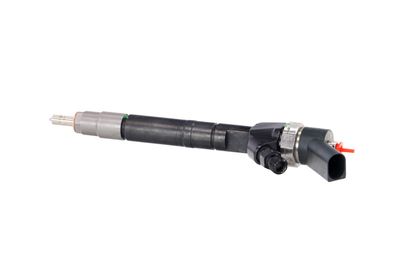 INJECTOR REMANTE 002003001099R 15