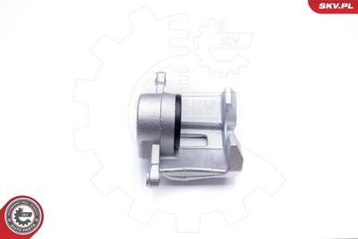 Brake Caliper 34SKV921