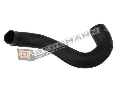 GT-BERGMANN Automotive - Hadica plniaceho vzduchu (hadica turba) AUDI , GT52-451
