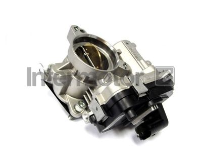 Throttle Body Intermotor 68323