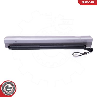 Galinių durų elektros variklis