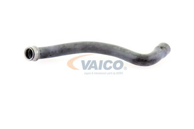 KüHLERSCHLAUCH VAICO V301655 11