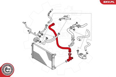 Radiator Hose 24SKV344