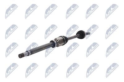 PLANETARA NTY NPWFR074 37