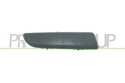 ZIER-/SCHUTZLEISTE STOßFäNGER PRASCO RN3081253